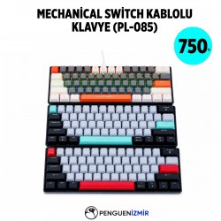 MECHANİCAL WİTCH KABLOLI KLAVYE (PL-085)