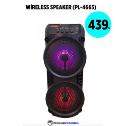 WİRELESS SPEAKER (PL-4665)