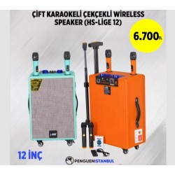 ÇİFT KARAOKELİ ÇEKÇEKLİ WİRELESS SPEAKER (HS-LİGE 12)