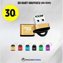 SD KART OKUYUCU (ŞH-3541)