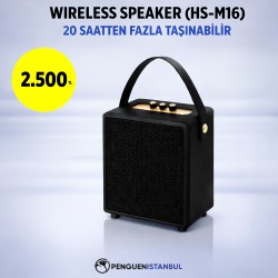 WIRELESS SPEAKER (HS-M16)