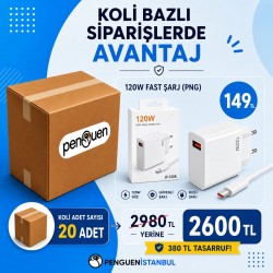 120W FAST ŞARJ (PNG) KOLİ BAZLI