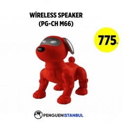 WİRELESS SPEAKER (PG-CH M66)