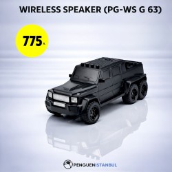 WİRELESS SPEAKER (PG-WS G 63)