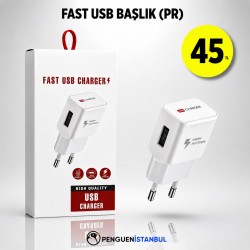 FAST USB BAŞLIK (PR)