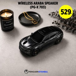 WİRELESS ARABA SPEAKER (PG-X 703)