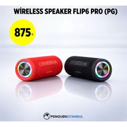 WİRELESS SPEAKER FLİP6 PRO (PG)