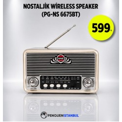 NOSTALJİK WİRELESS SPEAKER (PG-NS 6675BT)