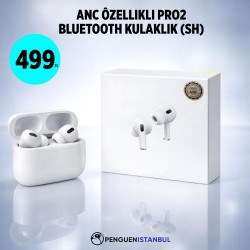 ANC ÖZELLİKLİ PRO2 BLUETOOTH KULAKLIK (SH)