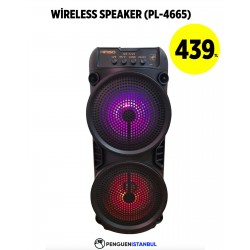 WİRELESS SPEAKER (PL-4665)