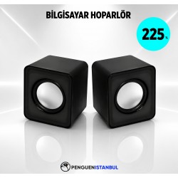 BİLGİSAYAR HOPARLÖR