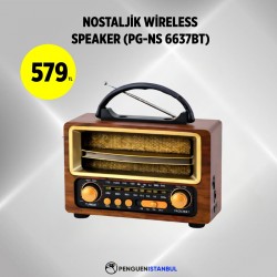 NOSTALJİK WİRELESS SPEAKER (PG-NS 6637BT)