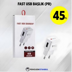 FAST USB BAŞLIK (PR)