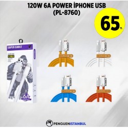 120W 6A POWER İPHONE USB (PL-8760)