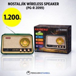NOSTALJİK WİRELESS SPEAKER (PG-R 2099)