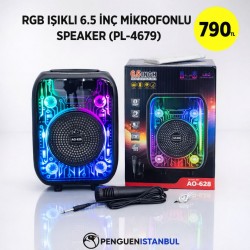 RGB IŞIKLI 6.5 İNÇ MİKROFONLU SPEAKER (PL-4679)