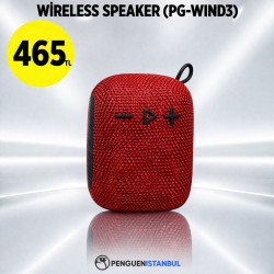 WİRELESS SPEAKER (PG-WIND3)