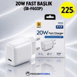 20W FAST BAŞLIK (İB-F603P)