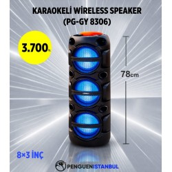 KARAOKELİ WİRELESS SPEAKER (PG-GY 8306)
