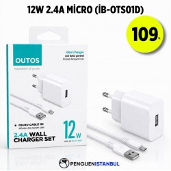 12W 2.4A MİCRO (İB-OTS01D)