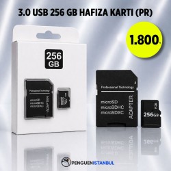 2.0 USB 256 GB HAFIZA KARTI (PR)