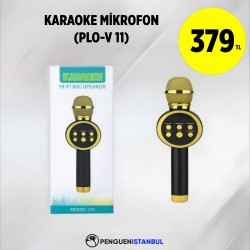 KARAOKELİ WİRELESS SPEAKER (PLO-V 11)