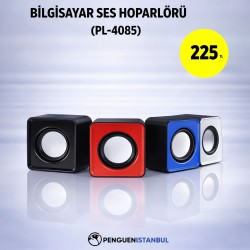 BİLGİSAYAR SES HOPARLÖRÜ (PL-4085)