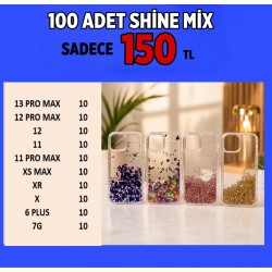  SHİNE MİX (100 ADET)