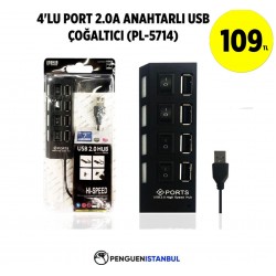 4'LU PORT 2.0A ANAHTARLI USB ÇOĞALTICI (PL-5714)