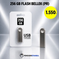 256 GB FLASH BELLEK (PR)