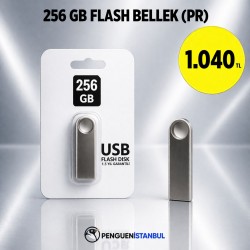 256 GB FLASH BELLEK (PR)