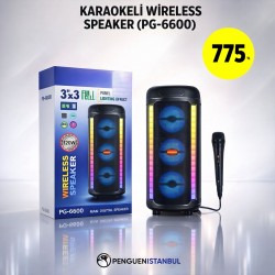 KARAOKELİ WİRELESS SPEAKER (PG-6600)